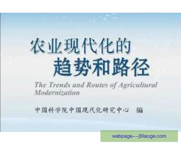 女足战术体系日益丰富与复杂化的趋势与发展路径分析 女足战术体系日益丰富与复杂化的趋势与发展路径分析